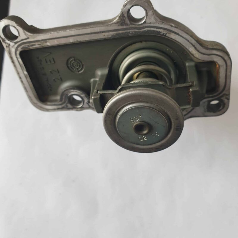 Thermostat d'eau Wahler
